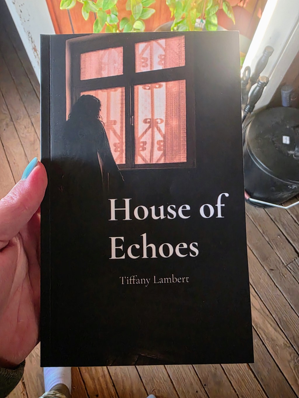 My Debut Book Is Here: Get Your Copy&nbsp;Now!